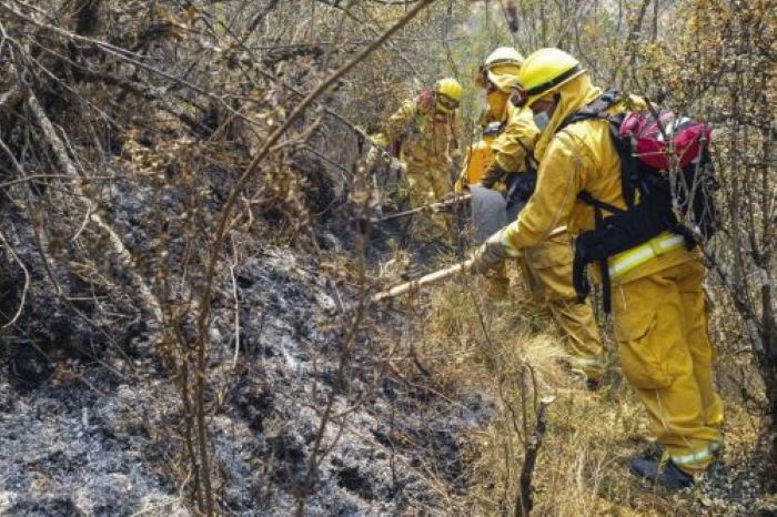 Expertos de América Latina y Caribe coordinan acciones preventivas frente a incendios forestales