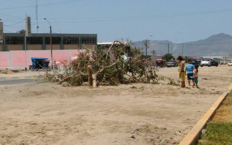 Chimbote: sancionarán a quienes promuevan actividades carnavalescas en la vía pública