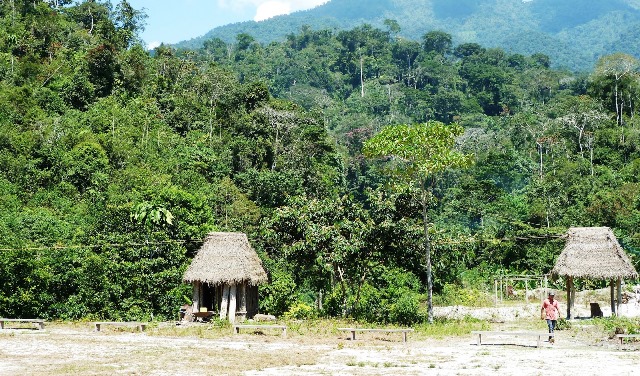  La Amazonía en el centro del interés de la Iglesia latinoamericana