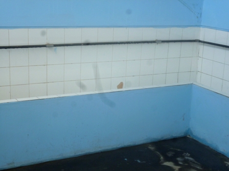 estadio gomez bano3