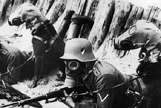  La Primera Guerra Mundial cumple un siglo